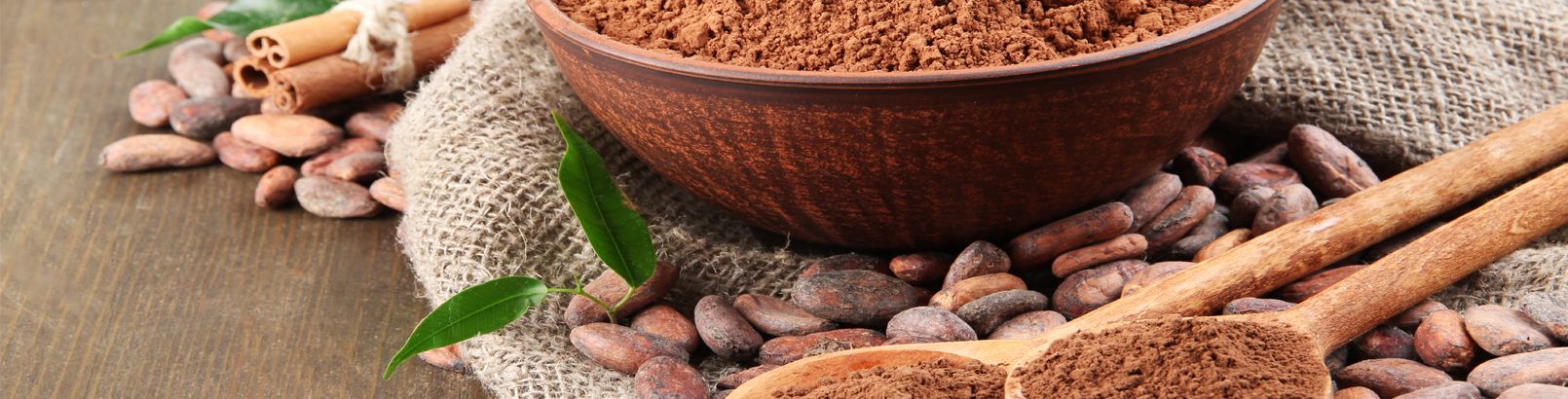 Dark Chocolate Manufacturer